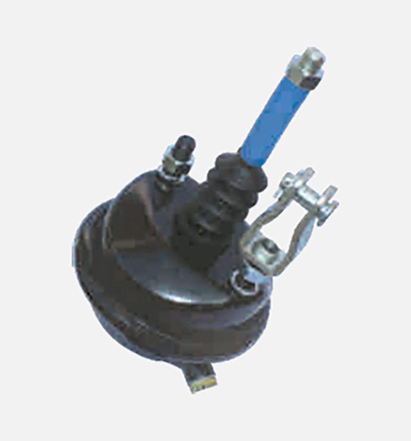 Y423 CV CM 0-Vere fregit gazophylacia